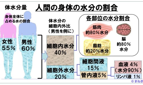 注射谷胱甘肽价格表-注射谷胱甘肽价格网 - 为你提供谷胱甘肽注射剂多少钱、注射用谷胱甘肽注射说明书